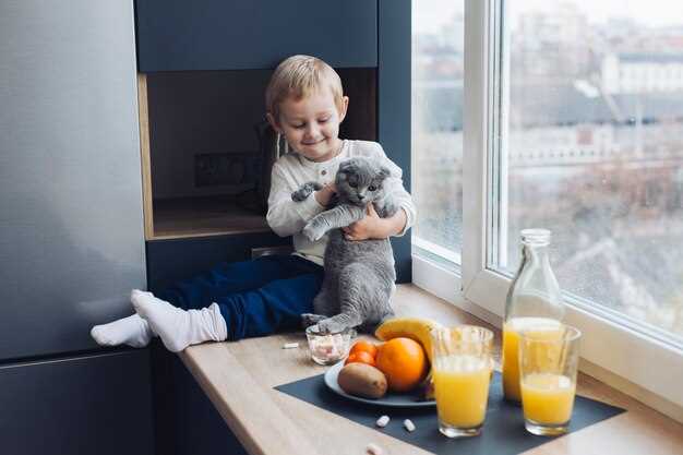 Влияние детского питания на здоровье котят
