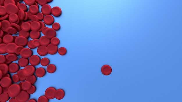 Повышение лейкоцитов в крови: что оно говорит о состоянии организма